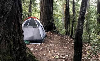 Sophia B.'s photo at Hendy Woods State Park Campground near Mendocino Lake