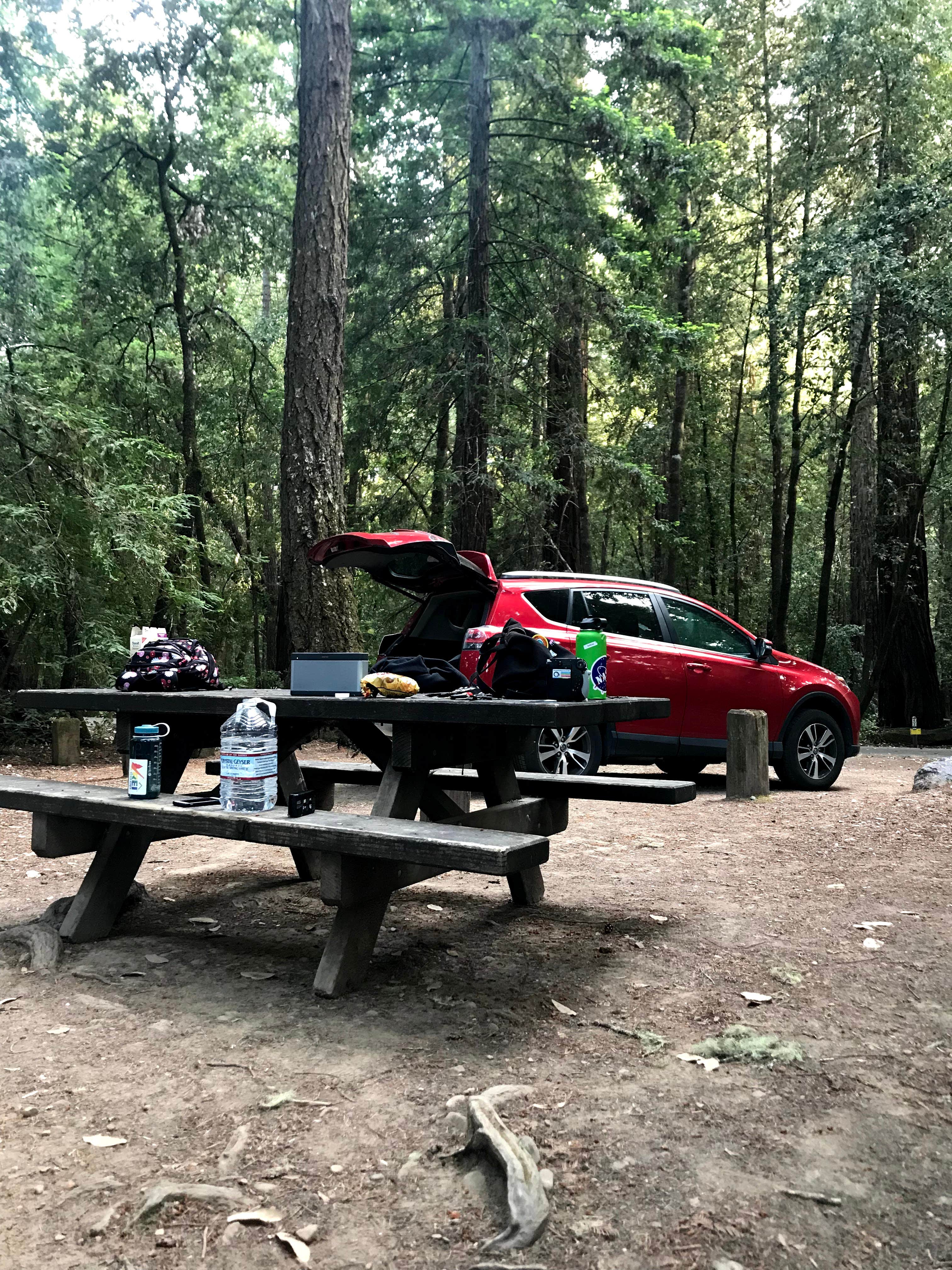 Sophia B.'s photo at Hendy Woods State Park Campground near Boonville, CA