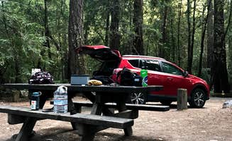 Sophia B.'s photo at Hendy Woods State Park Campground near Manchester, CA
