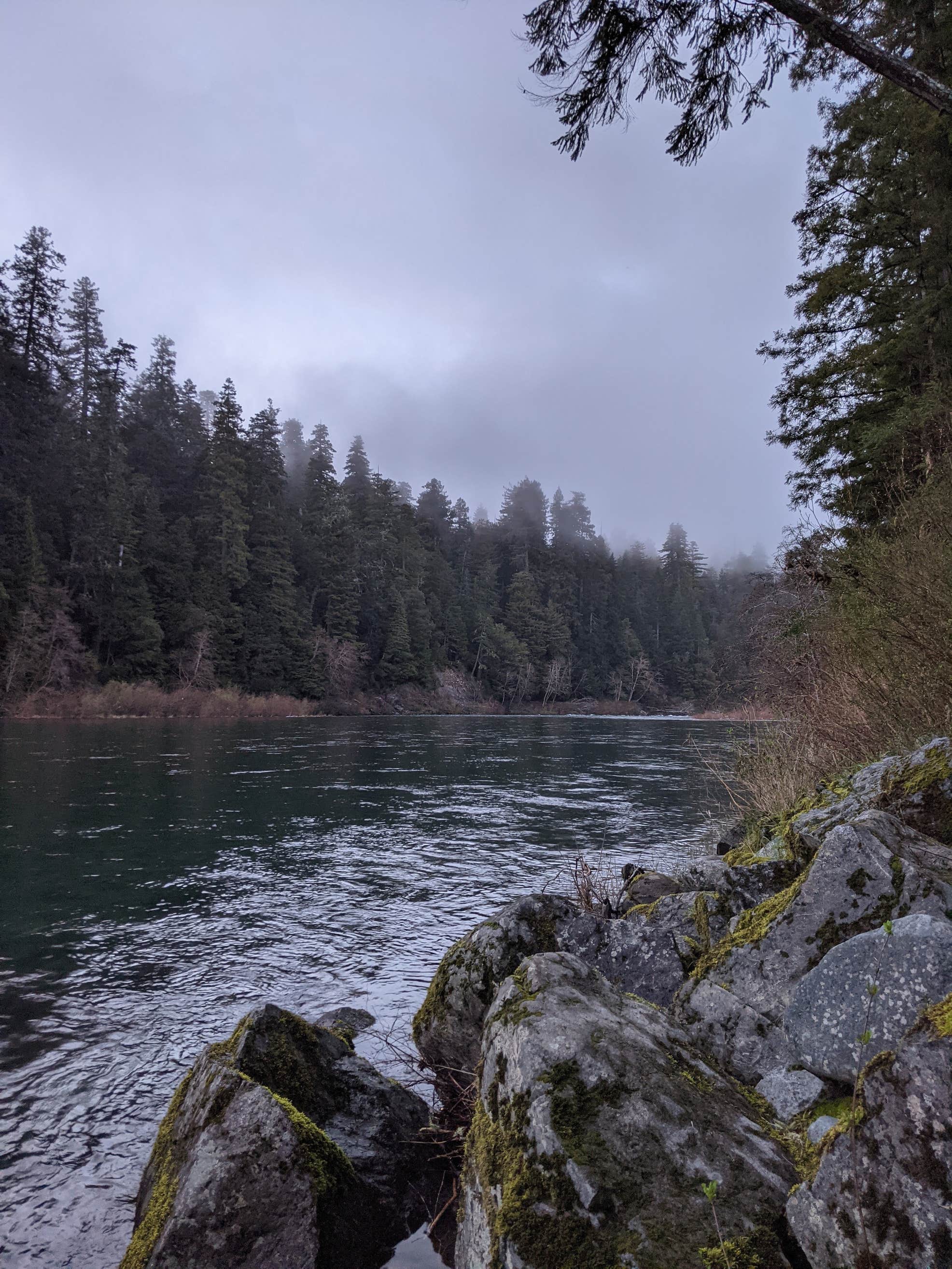 Jedediah Smith Campground | The Dyrt