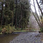 Review photo of Elk Prairie Campground — Prairie Creek Redwoods State Park by Sophia B., April 12, 2021