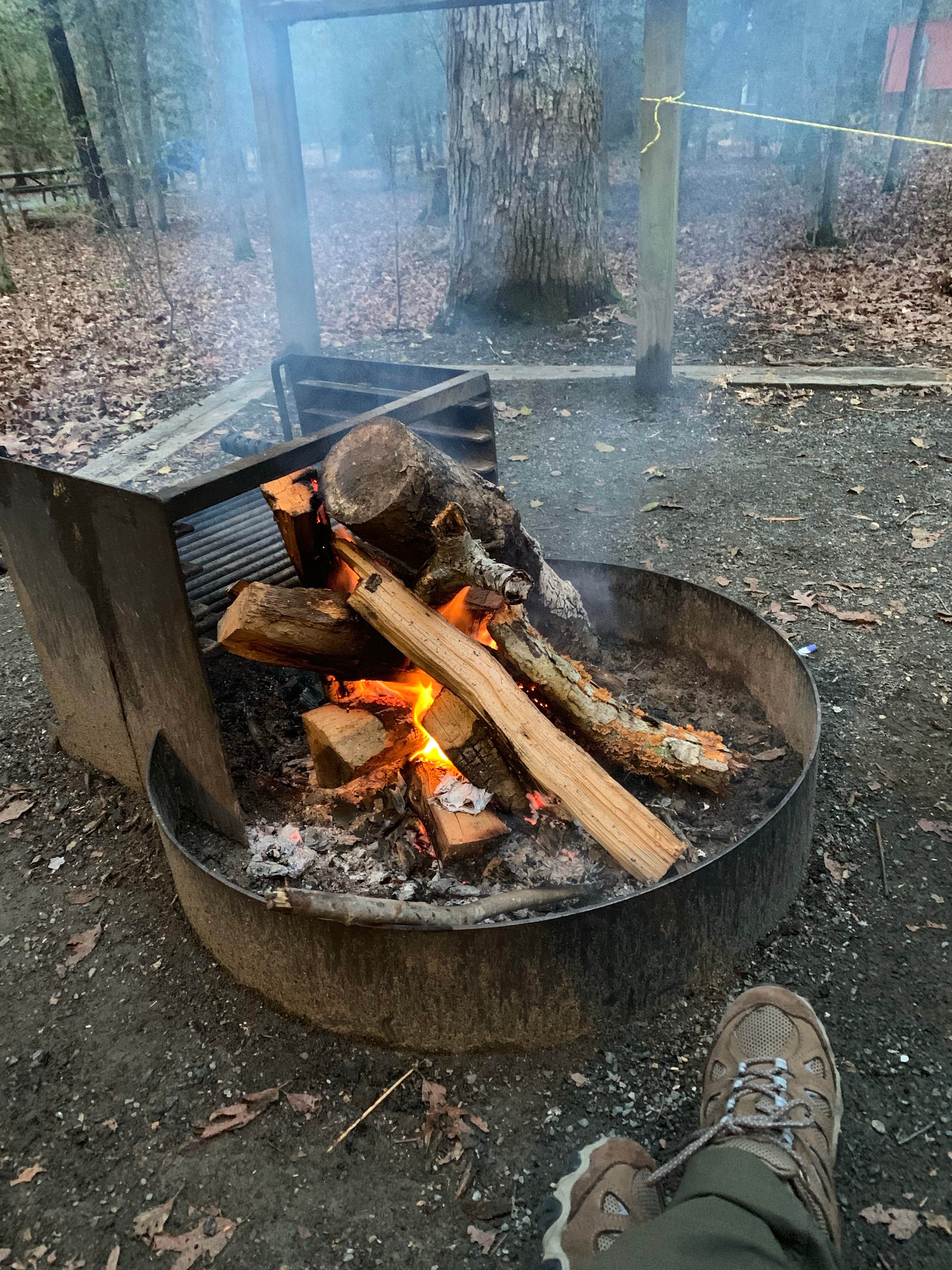 Camper submitted image from Cedarville State Forest - 1