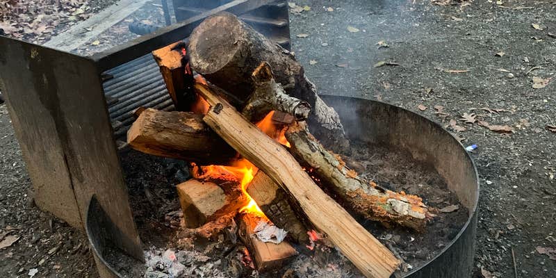 Camper submitted image from Cedarville State Forest