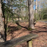 Review photo of Cedarville State Forest by Nurse N., April 12, 2021