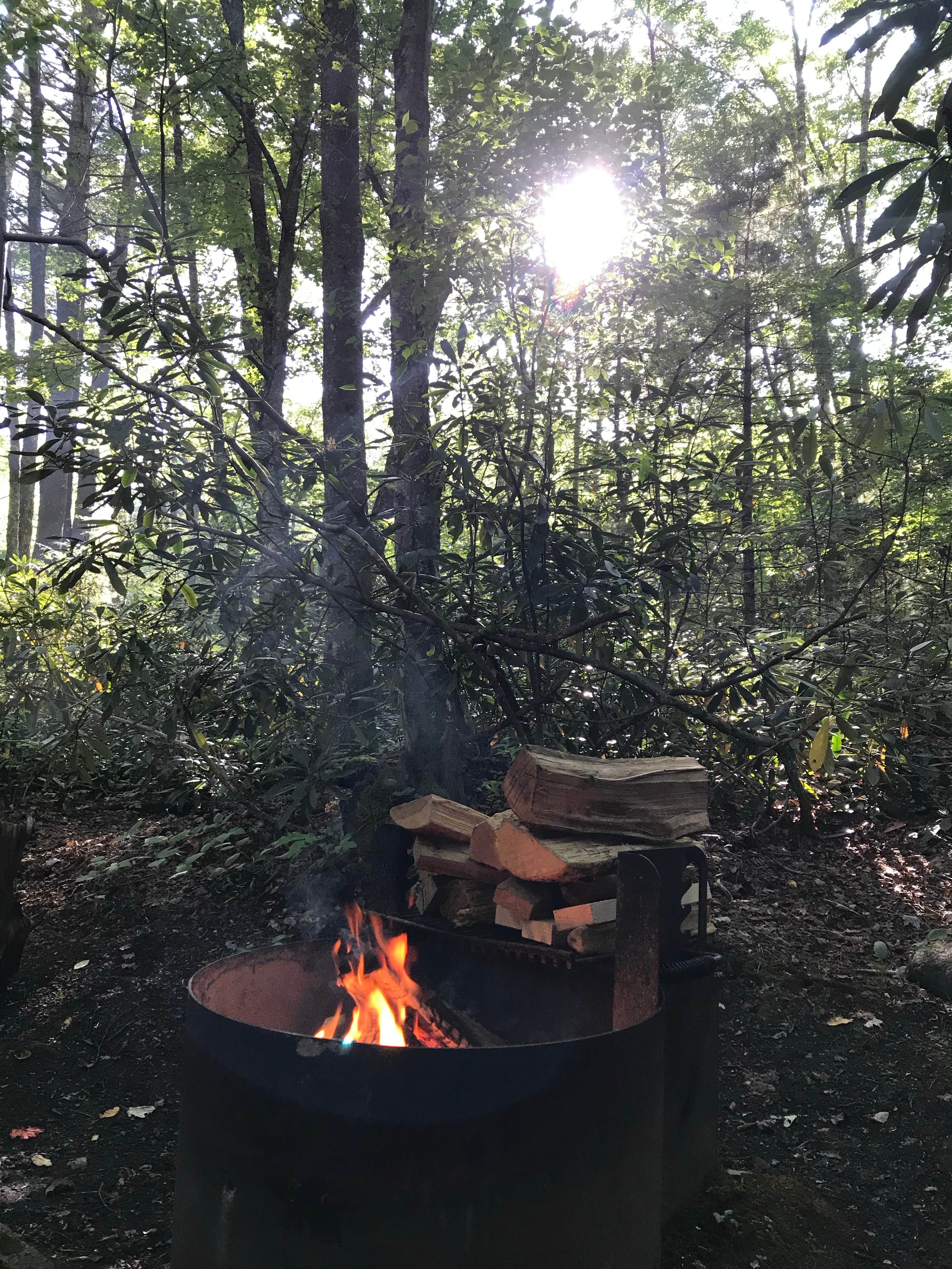 Camper submitted image from Jefferson National Forest Beartree Campground - 1