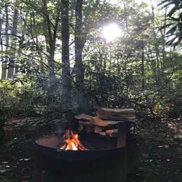 Jefferson National Forest Beartree Campground