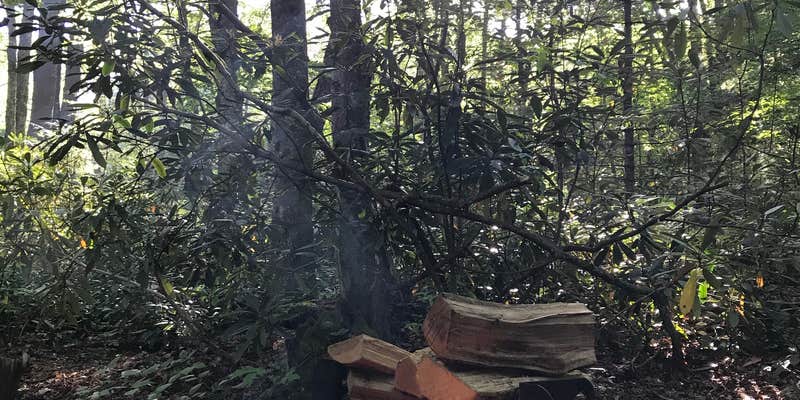 Camper submitted image from Jefferson National Forest Beartree Campground