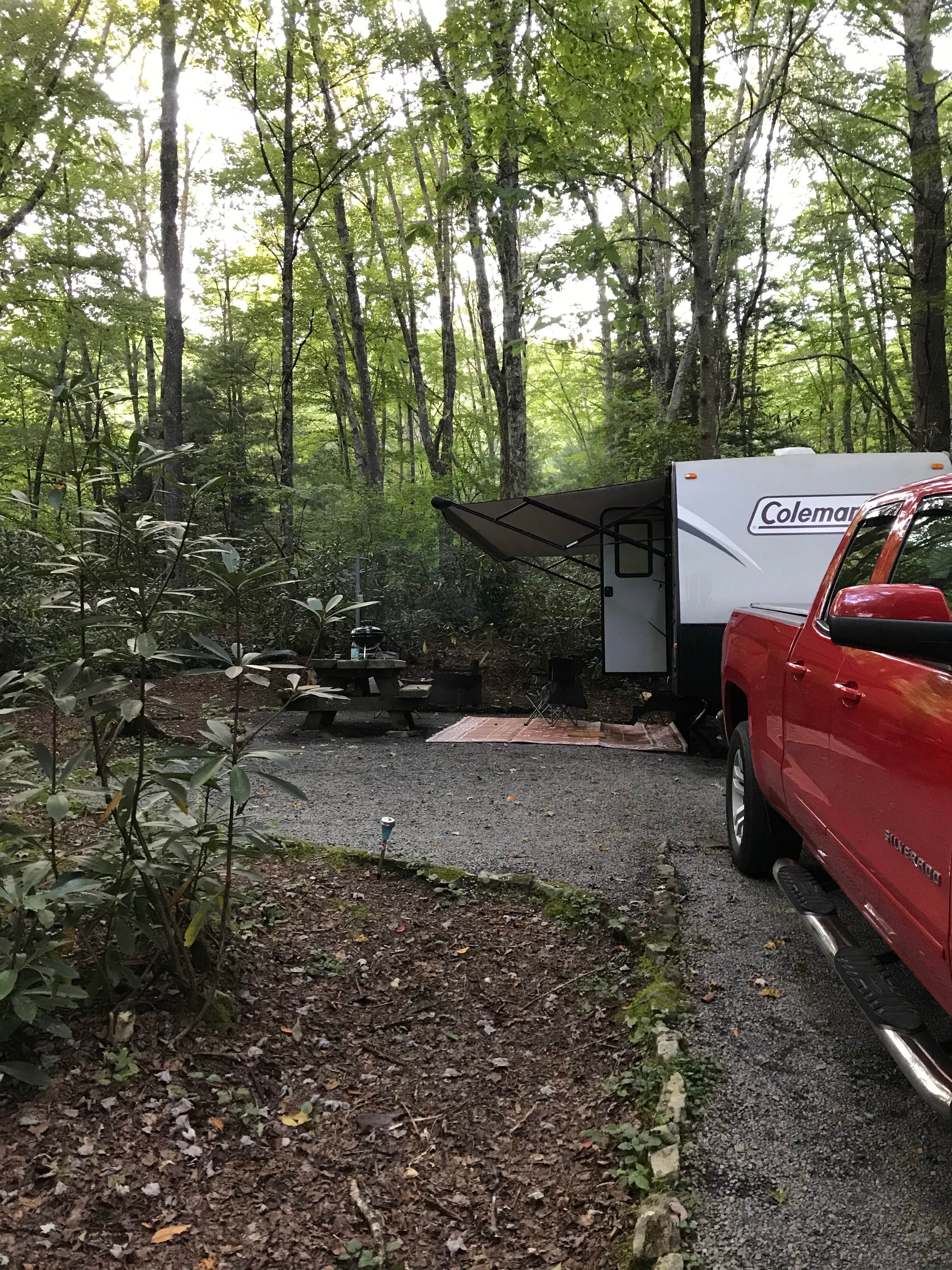 Camper submitted image from Jefferson National Forest Beartree Campground - 3