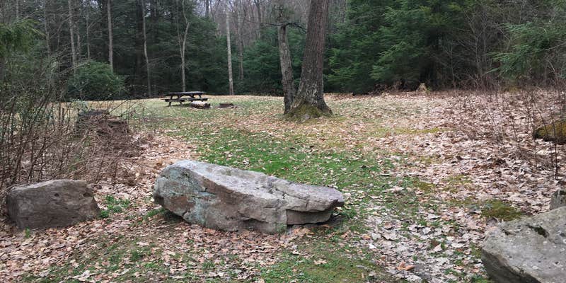 Camper submitted image from Bald Eagle State Forest