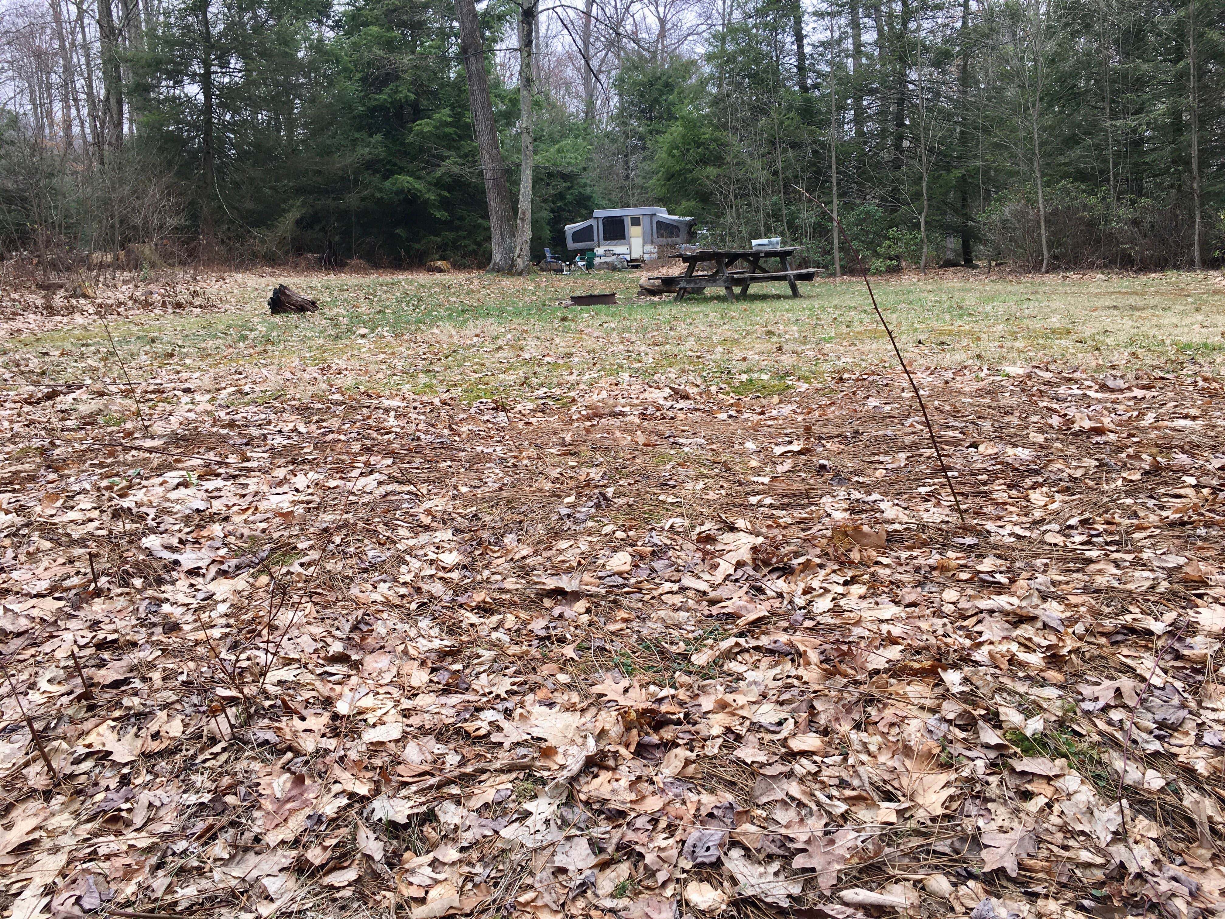 Camper-submitted photo at Bald Eagle State Forest near Loganton, PA