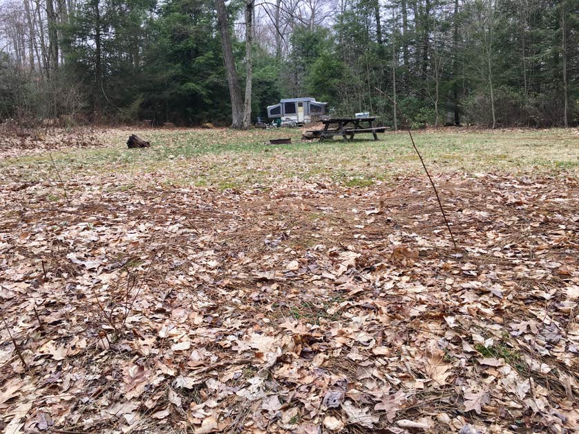 Bald Eagle State Forest The Dyrt