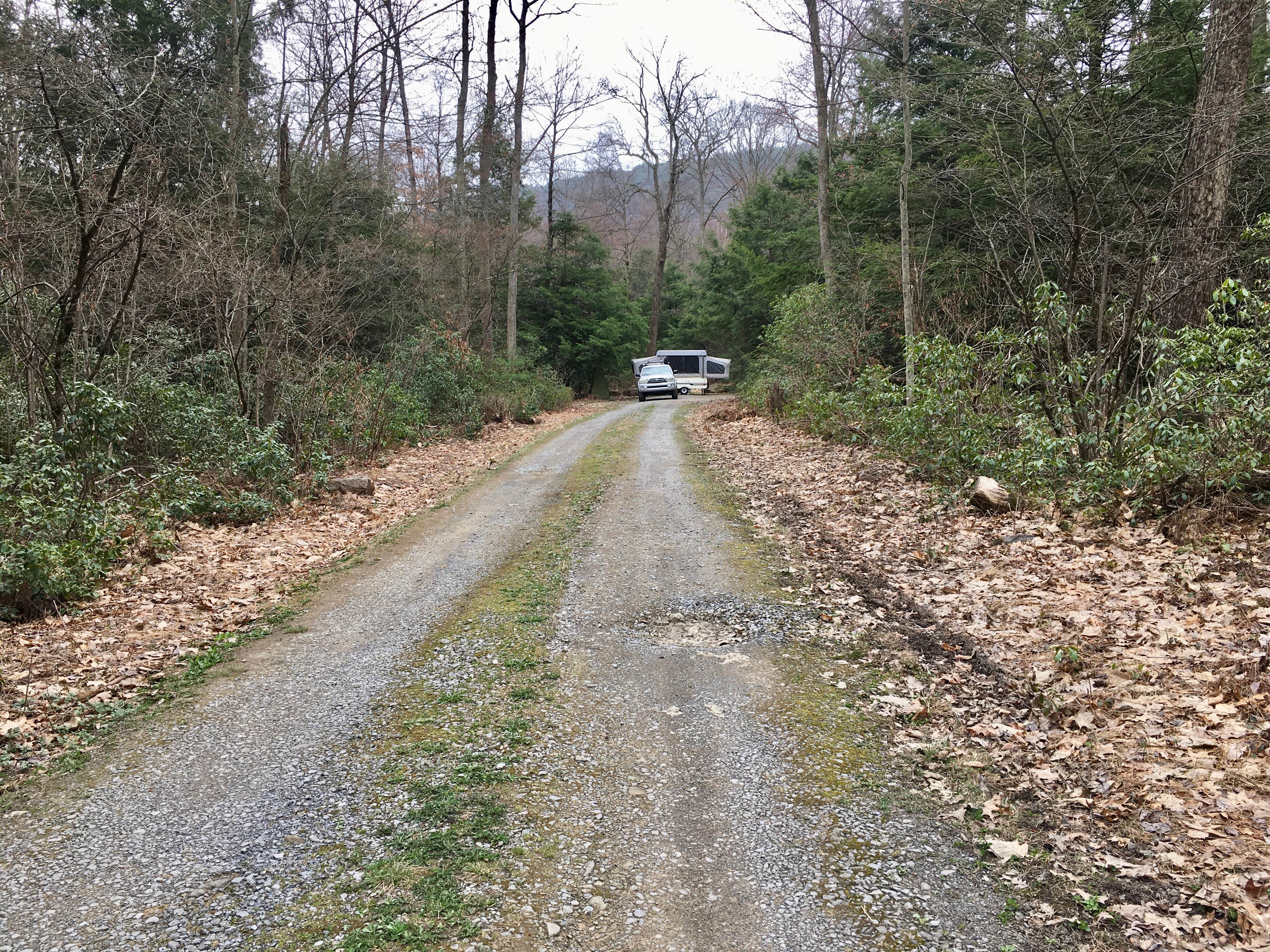 Camper-submitted photo at Bald Eagle State Forest near Loganton, PA