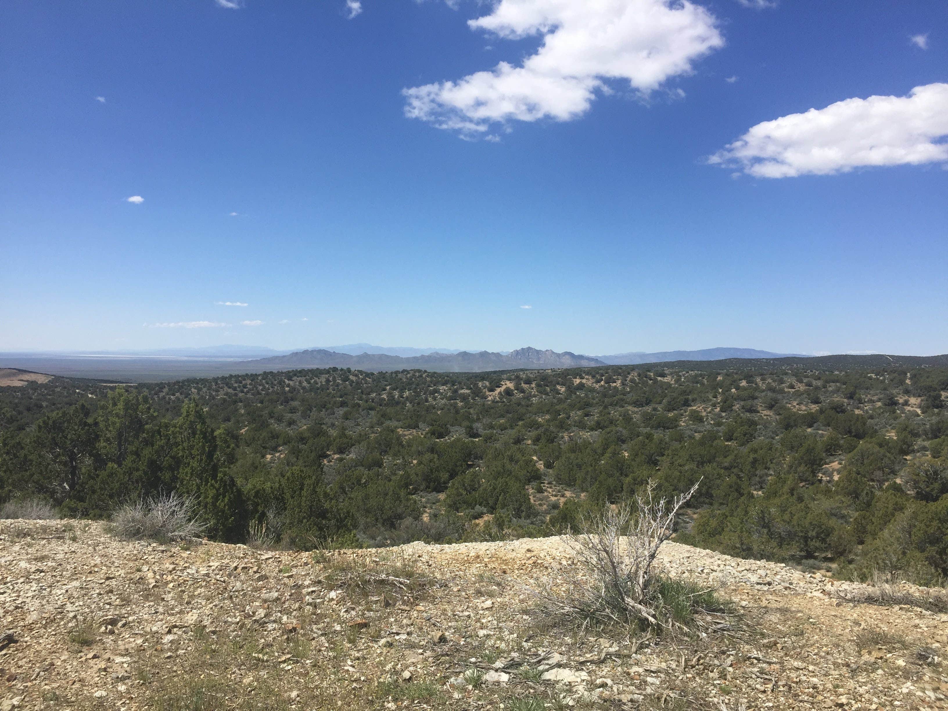 Camping near White Rocks Dispersed Camping: Cherry creek, Vernon, Utah