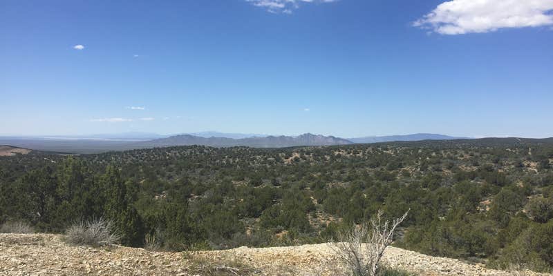 Camper submitted image from Cherry creek