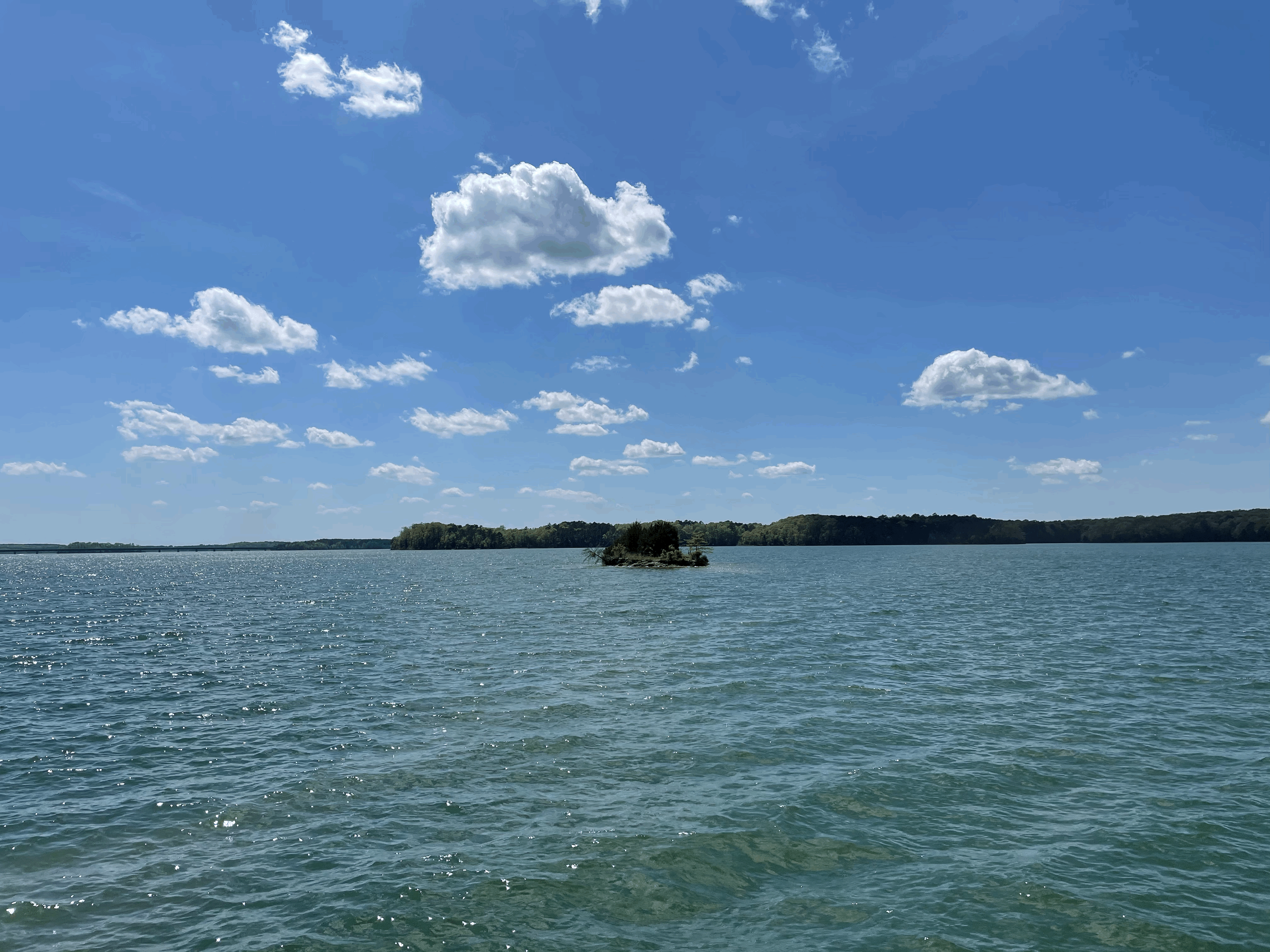 View All