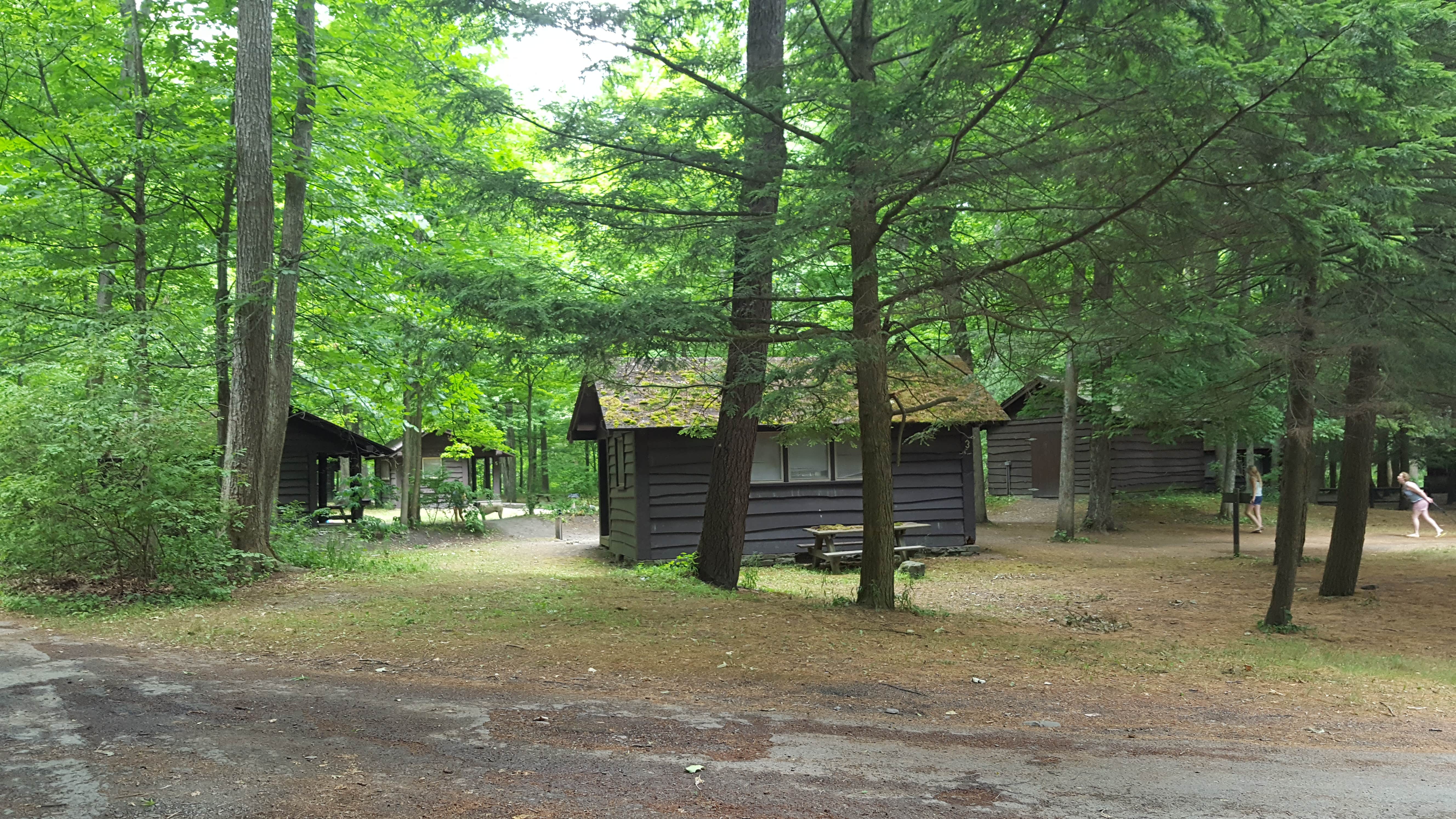 Robert H. Treman State Park Campground