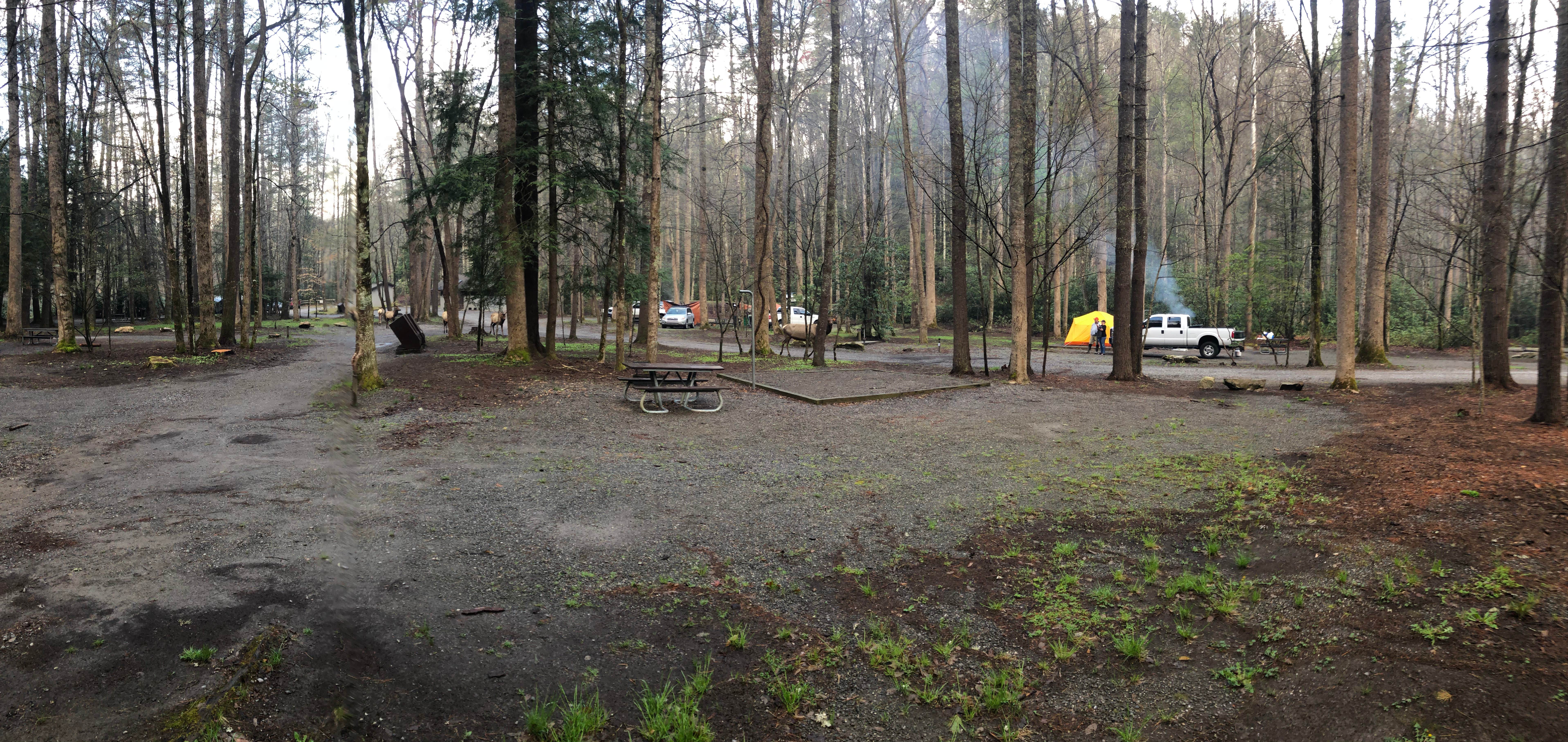 Jessica D.'s photo at Cataloochee Campground — Great Smoky Mountains National Park near Lake Junaluska, NC