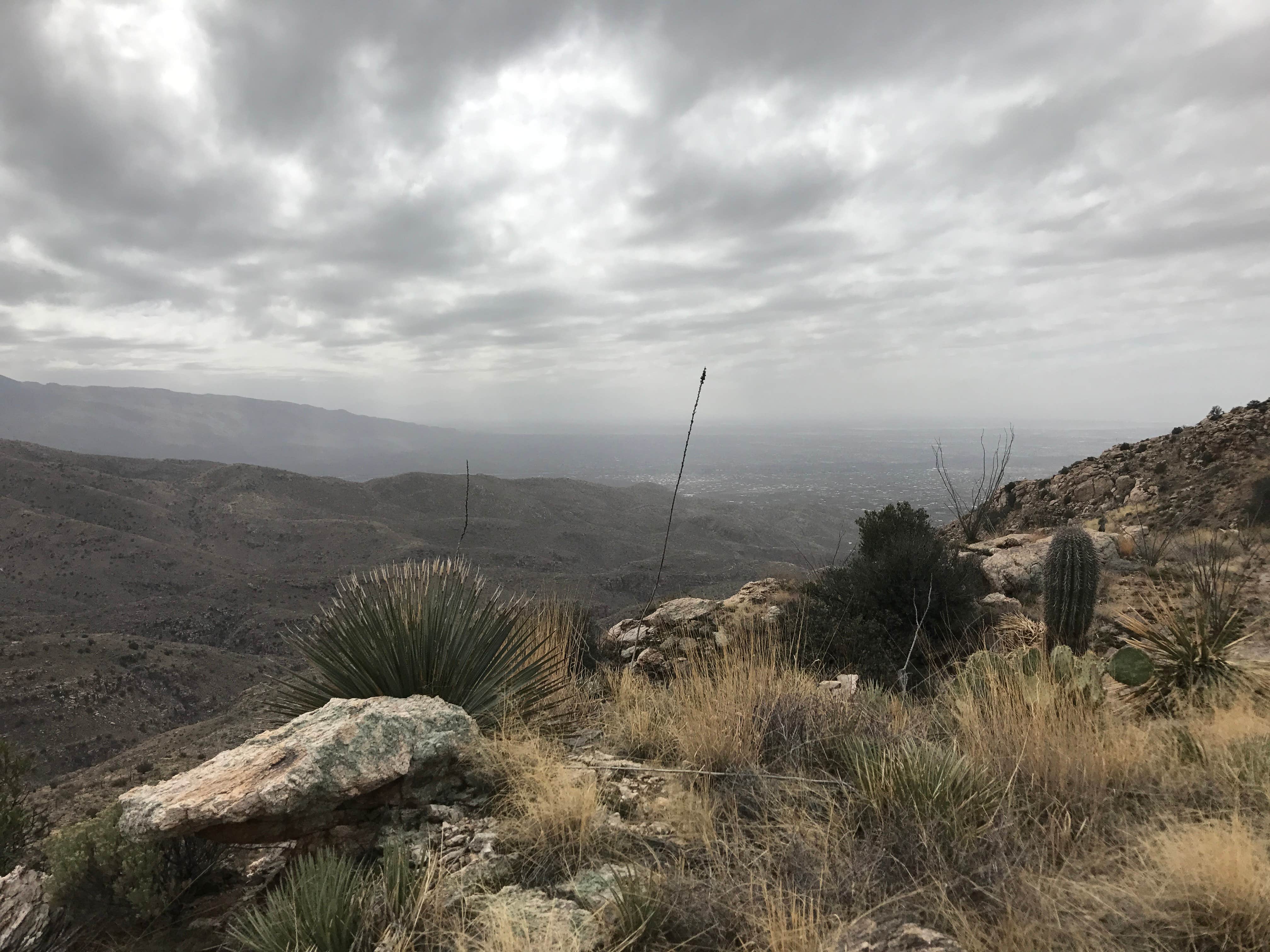 Camper-submitted photo at Gordon Hirabayashi Campground near Oro Valley, AZ