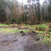 Review photo of Upper Hoh Road Campsite by Taylor K., April 13, 2021