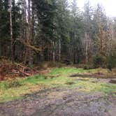 Review photo of Upper Hoh Road Campsite by Taylor K., April 13, 2021