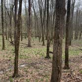 Review photo of Delaware State Park Campground by Ashley R., April 13, 2021