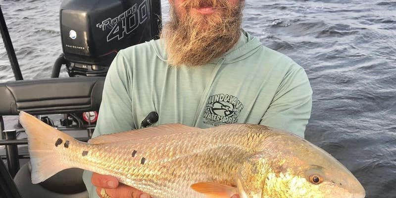 Camper submitted image from Timber Camp Campground