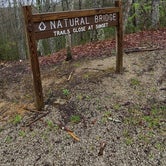 Review photo of Pickett CCC Memorial State Park Campground by Rebekah C., April 13, 2021