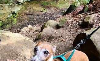 Rebekah C.'s photo of camping with pets at Pickett CCC Memorial State Park Campground near Byrdstown, TN