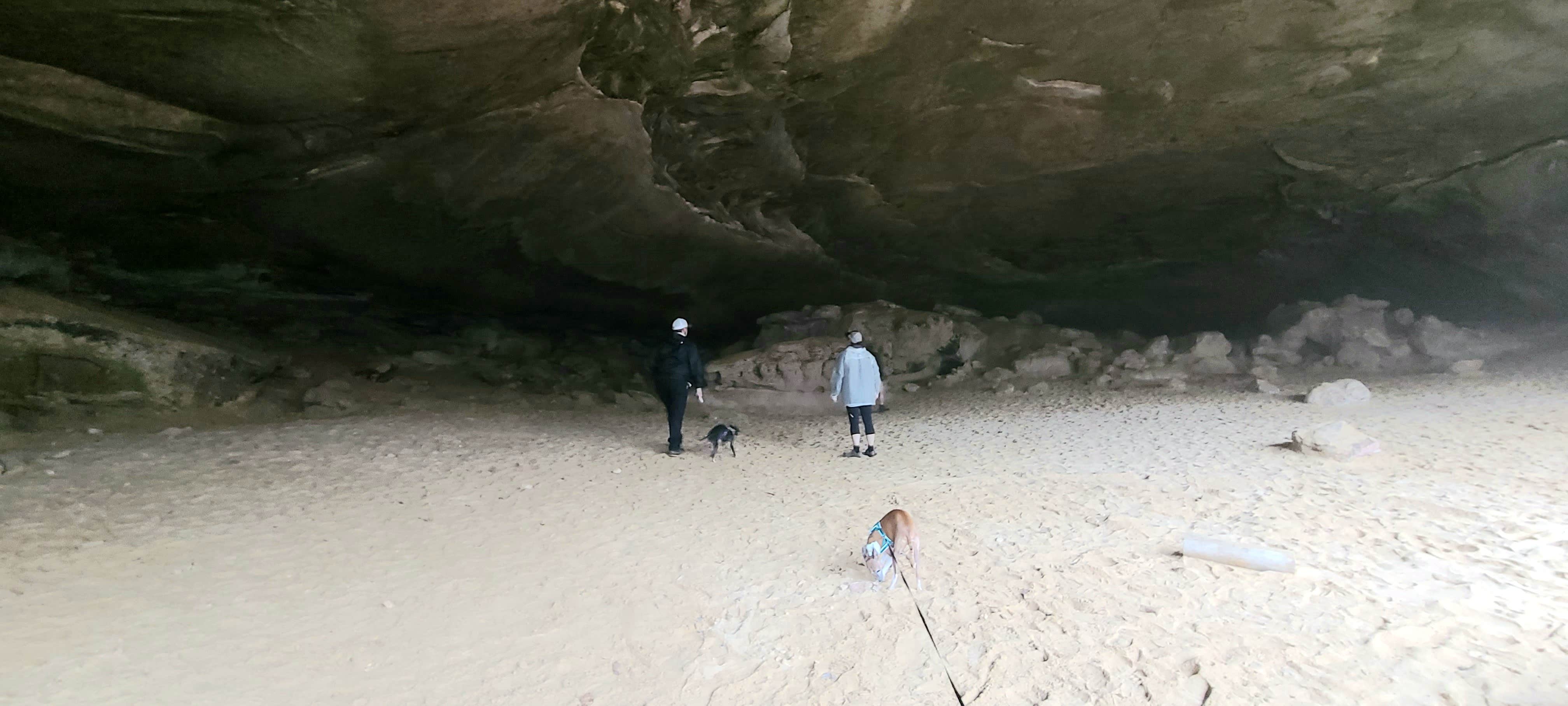 Rebekah C.'s photo of camping with pets at Pickett CCC Memorial State Park Campground near Helenwood, TN