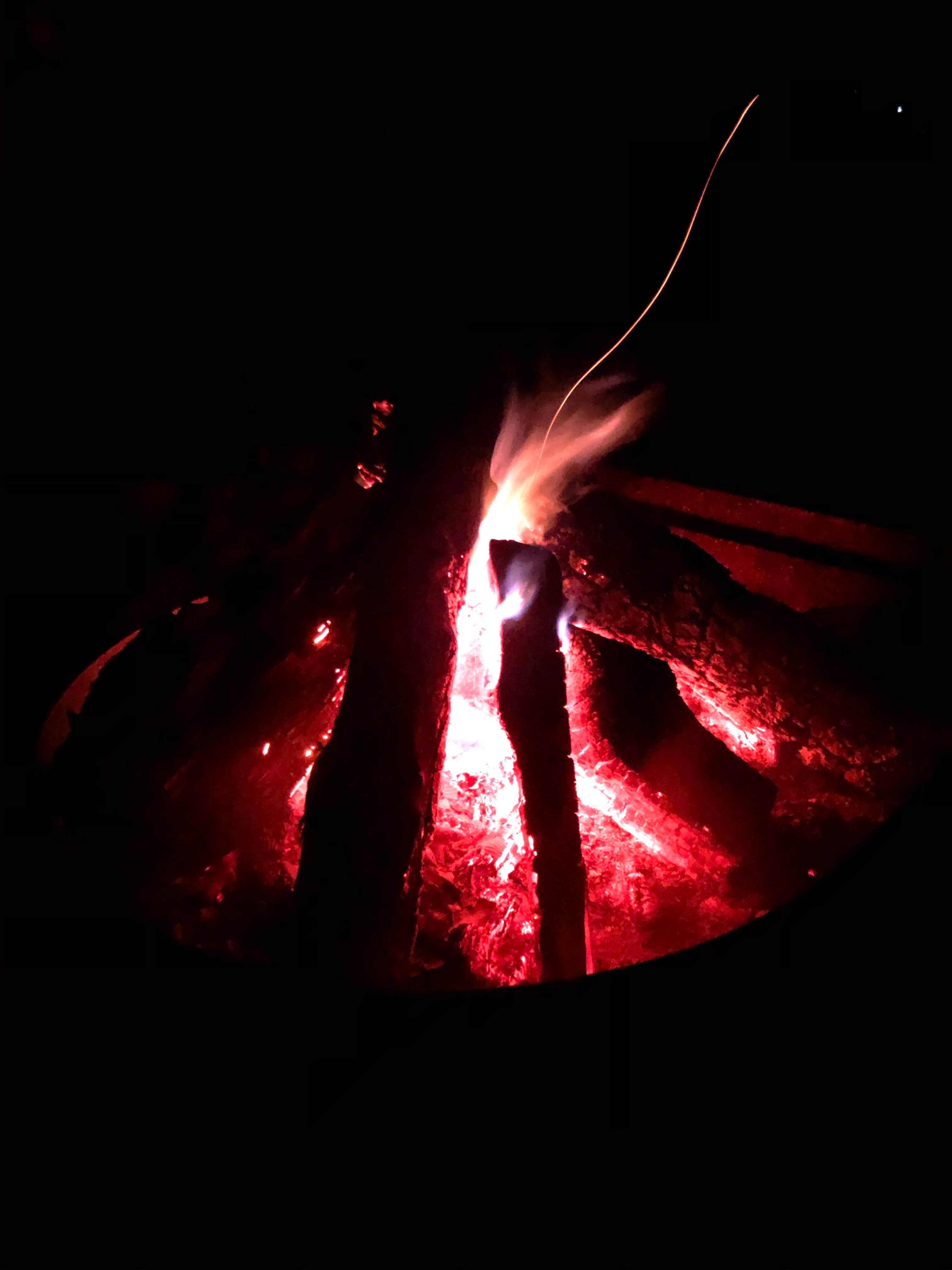 Camper submitted image from Foster Falls Campground - 4