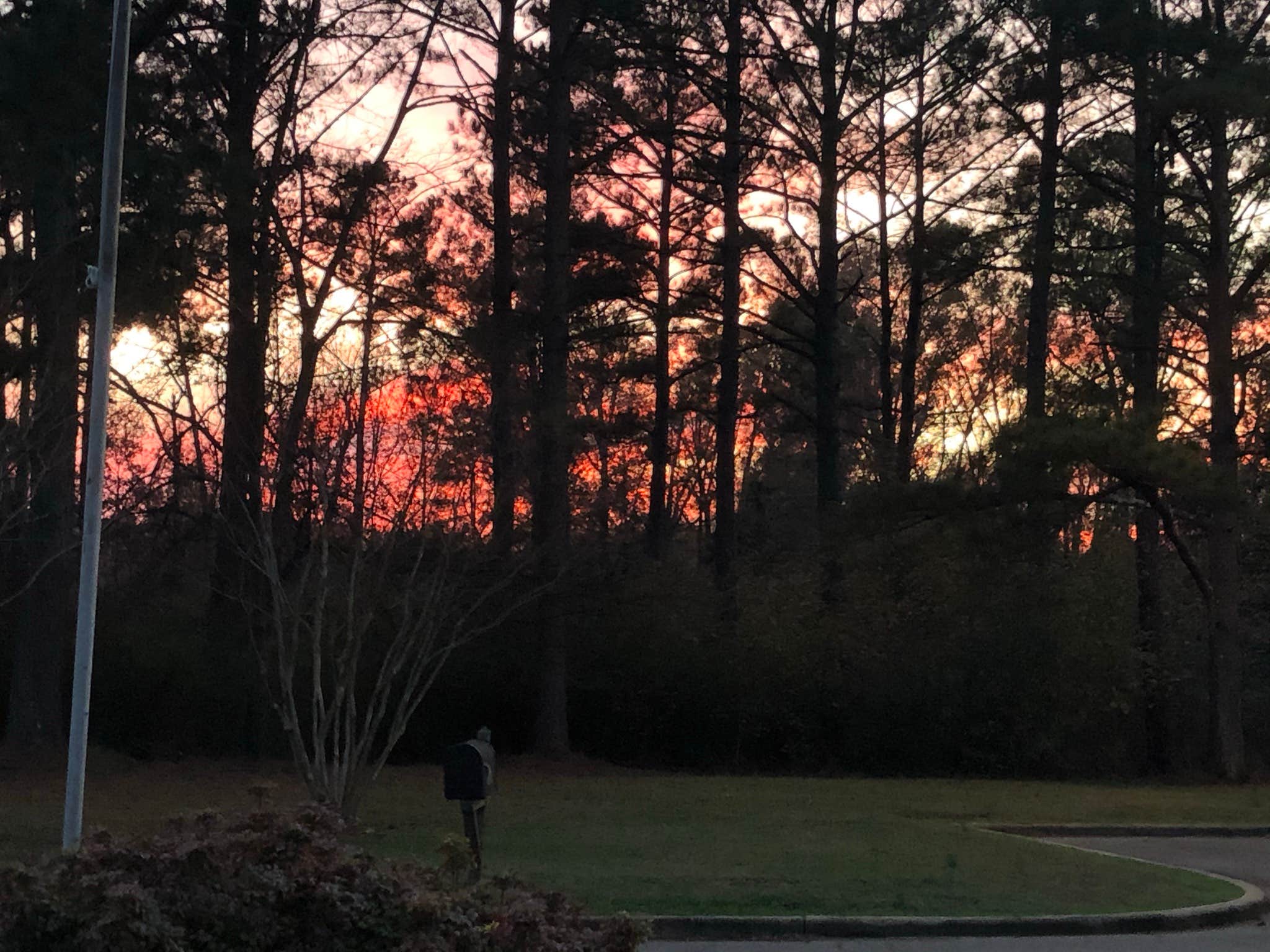 Camper-submitted photo at Lake Lowndes State Park Campground near Columbus, MS