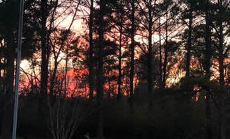 Camping near Dewayne Hayes: Lake Lowndes State Park Campground, Columbus, Mississippi