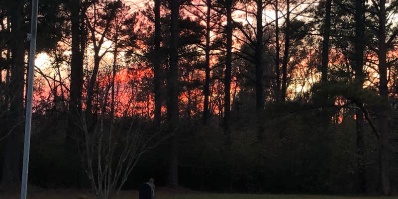 Camper submitted image from Lake Lowndes State Park Campground