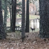 Review photo of Lake Lowndes State Park Campground by Richard W., April 13, 2021