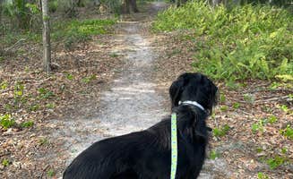 Mackenzie O.'s photo of camping with pets at Edward Medard Park near Dover, FL