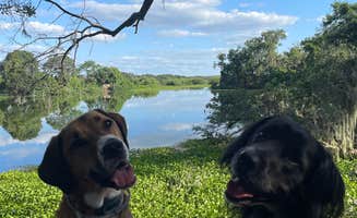 Mackenzie O.'s photo of camping with pets at Edward Medard Park near Temple Terrace, FL