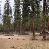 Review photo of Lower Canyon Creek Campground by Thomas B., April 13, 2021