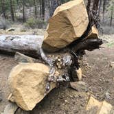 Review photo of Lower Canyon Creek Campground by Thomas B., April 13, 2021