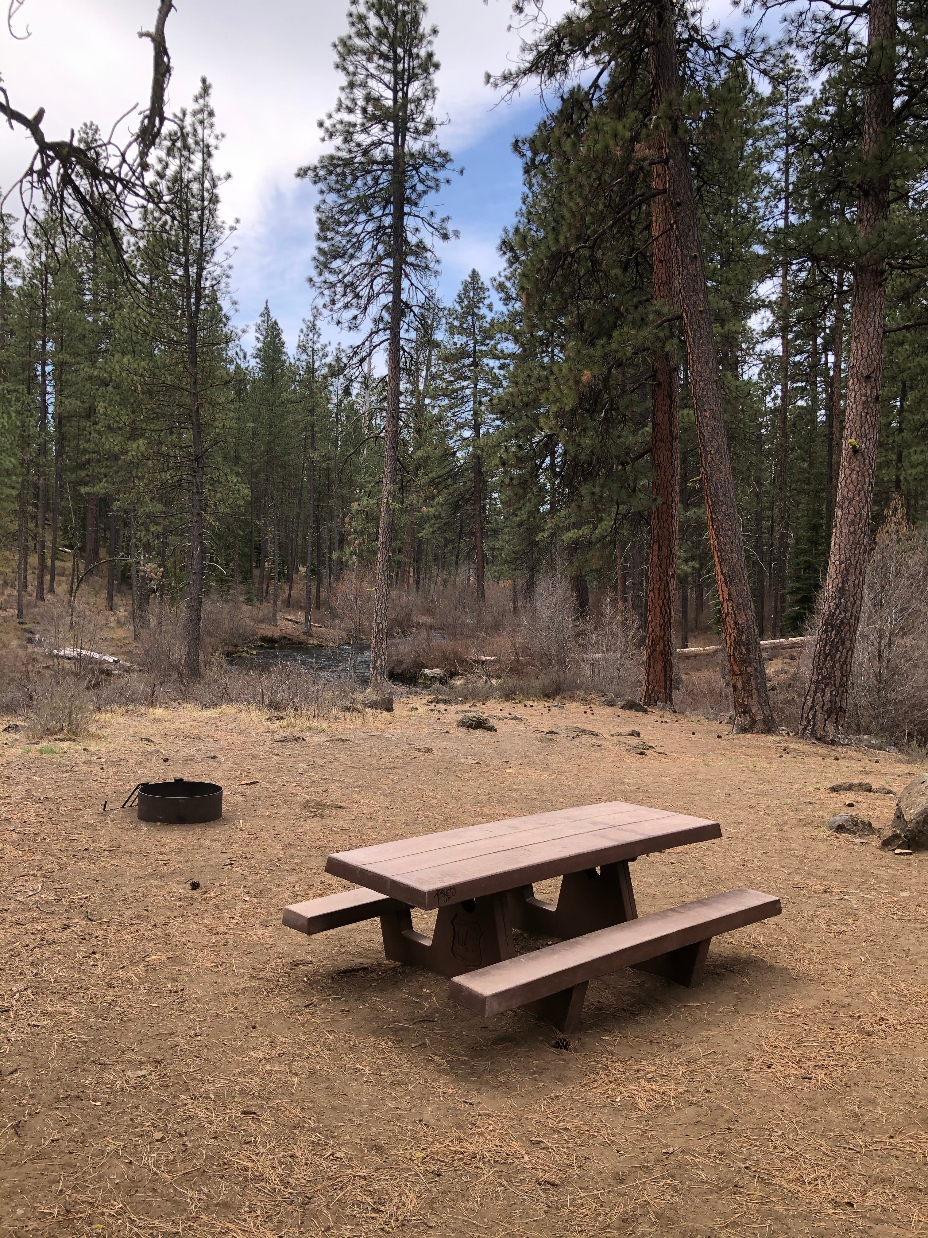 Camper submitted image from Lower Canyon Creek Campground - 4