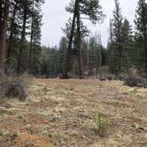 Review photo of Lower Canyon Creek Campground by Thomas B., April 13, 2021