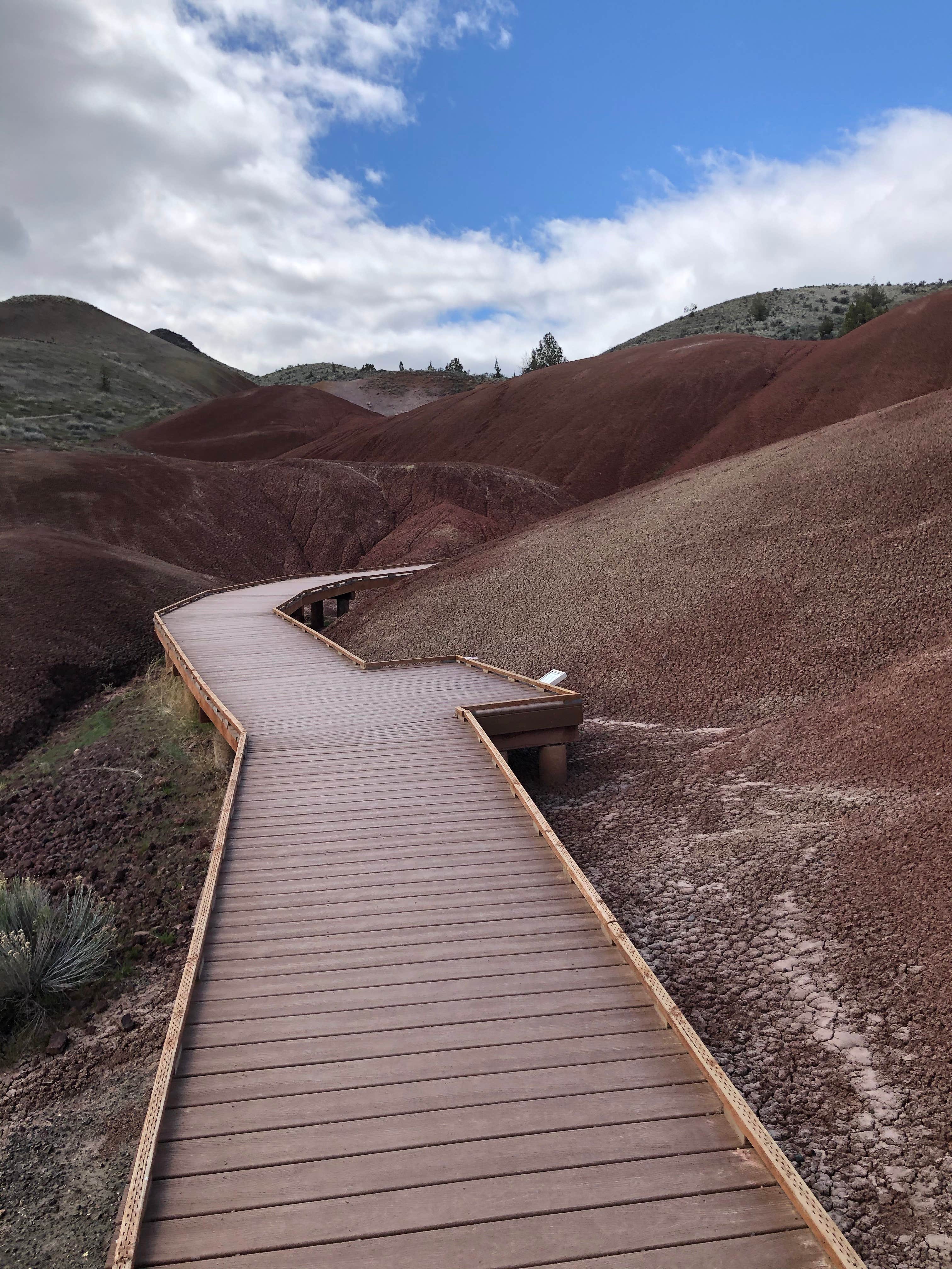 Camper submitted image from Burnt Ranch Road/Bridge Creek (Painted Hills) - 5