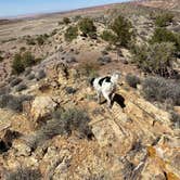 Review photo of Yellow Circle Road Dispersed Camping Area by Jeff N., April 13, 2021