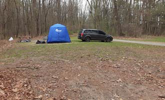 Camping near Camp Dearborn: Appleton Lake Campground, Brighton, Michigan