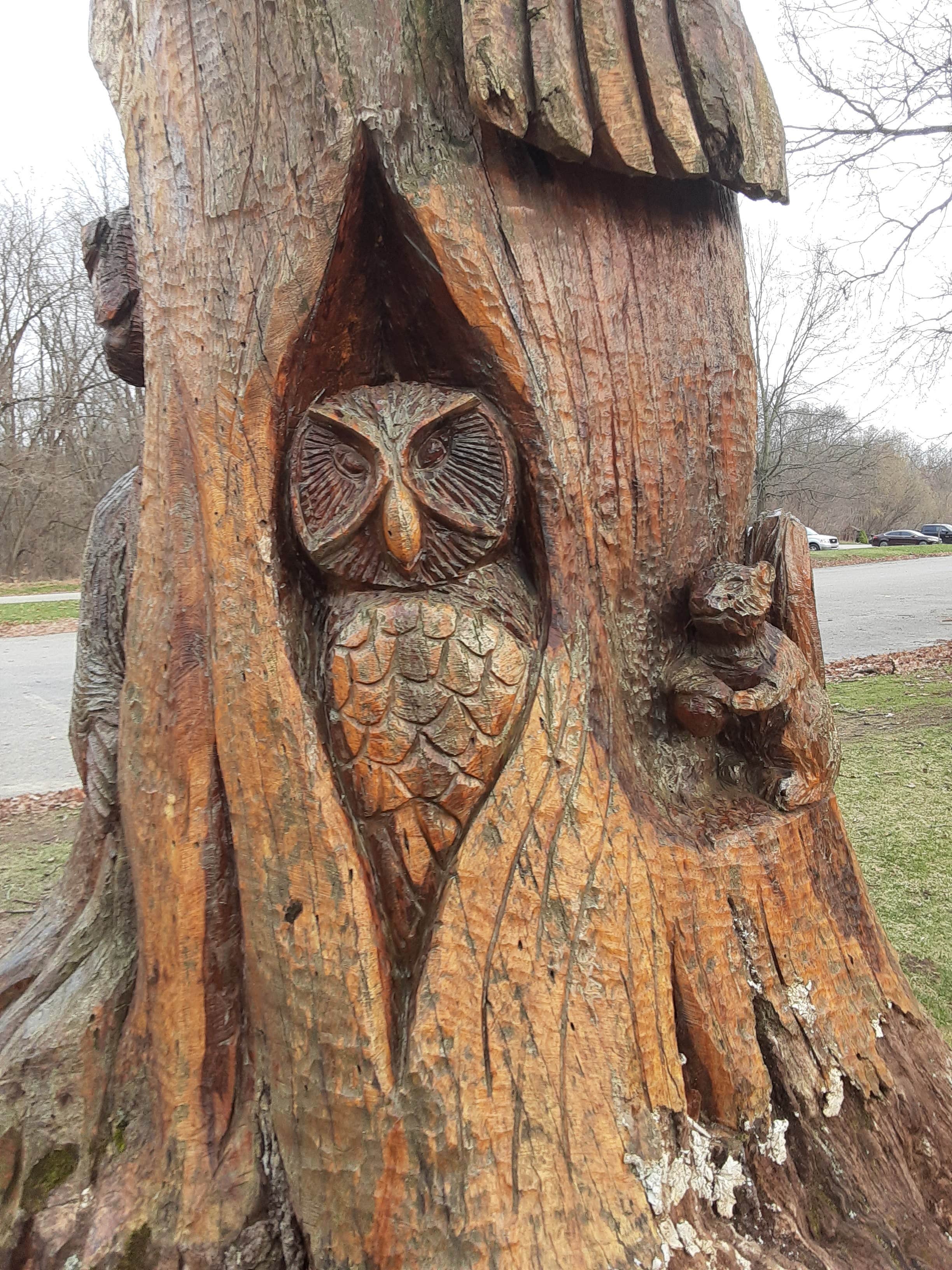 Camper-submitted photo at Appleton Lake Campground near Ann Arbor, MI