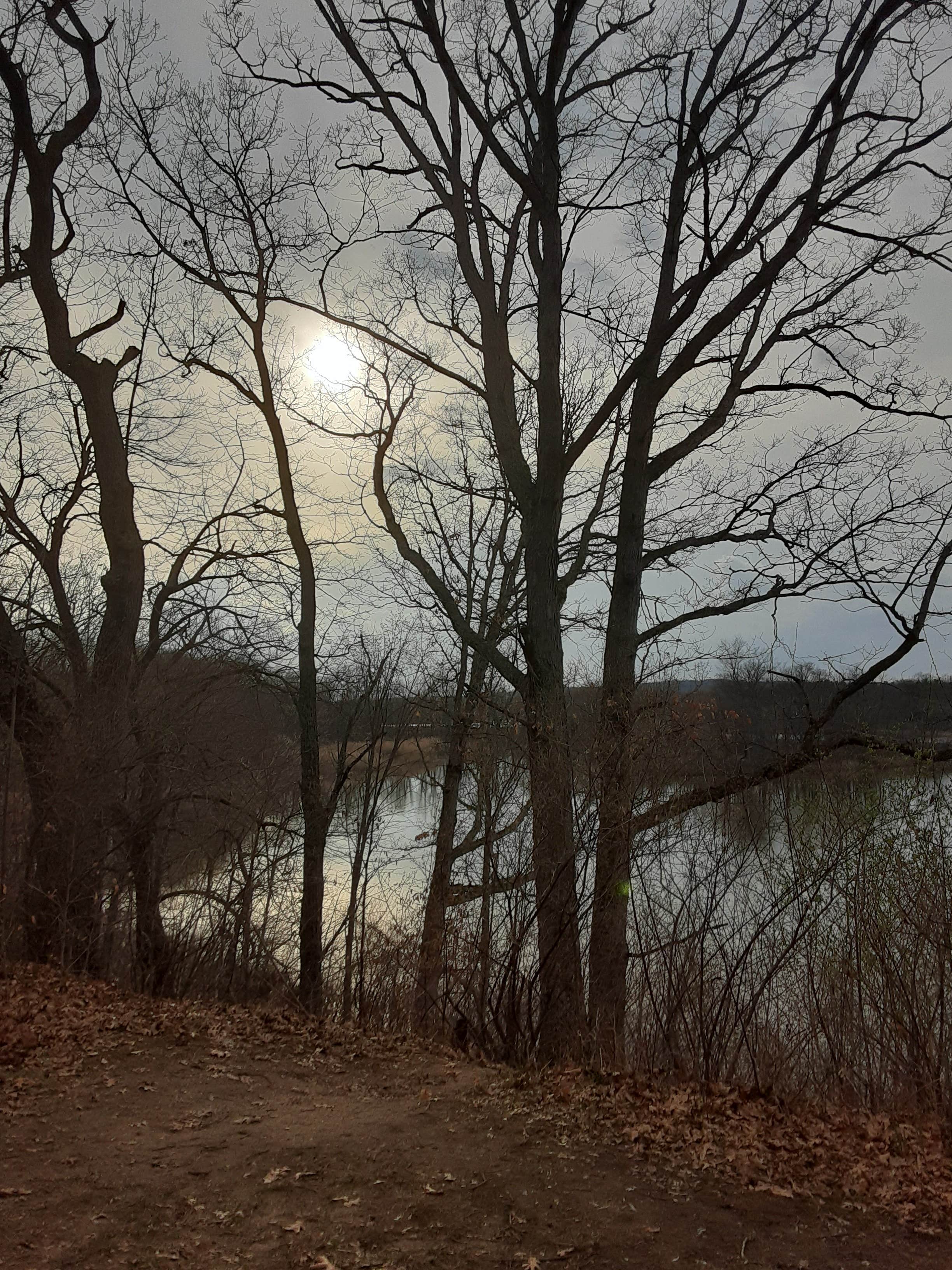 Appleton Lake Campground The Dyrt