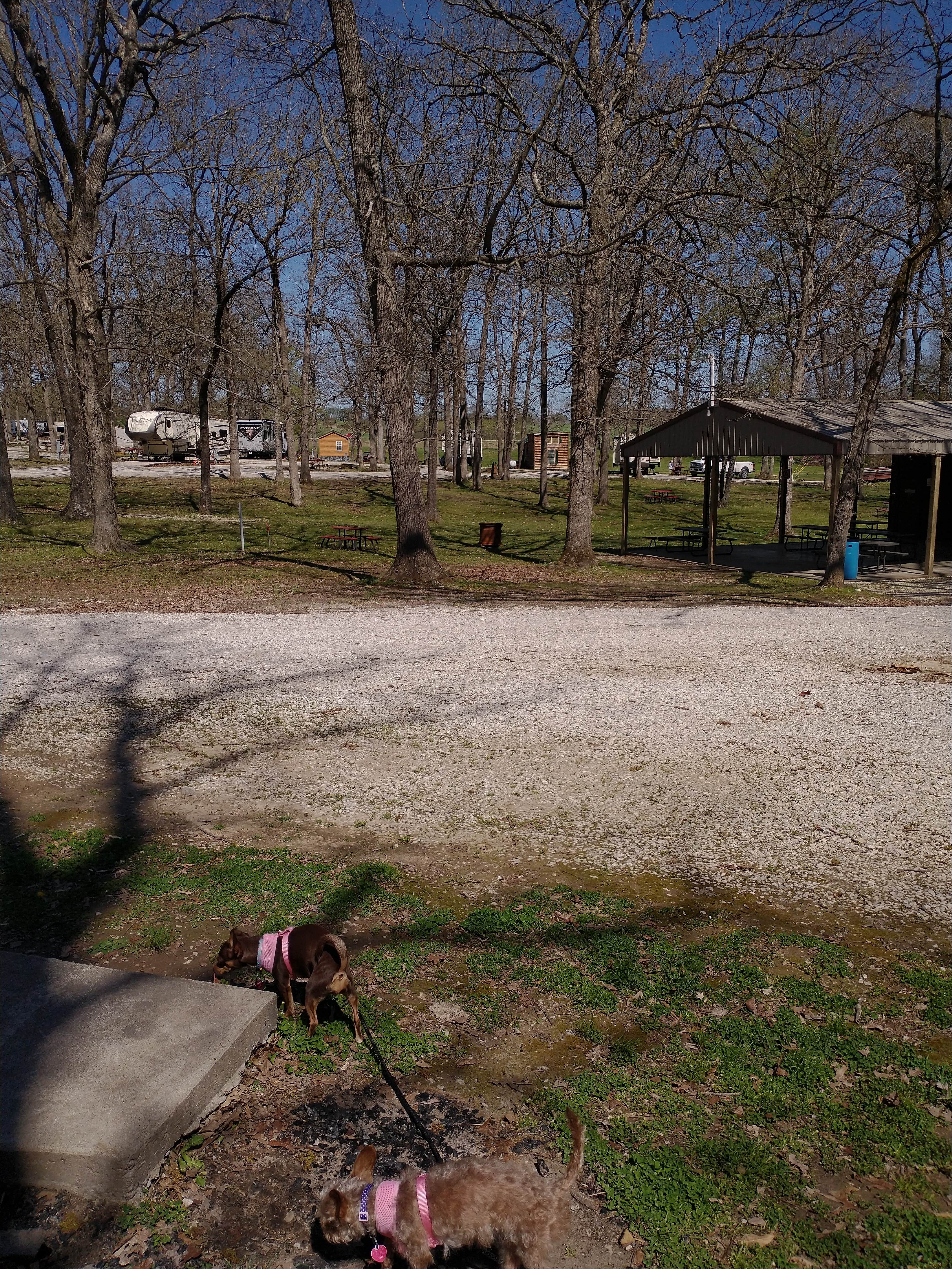 Camper-submitted photo at Cozy C RV Campground, LLC near Silex, MO