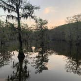 Review photo of Caddo Lake State Park Campground by J. Tom S., April 13, 2021