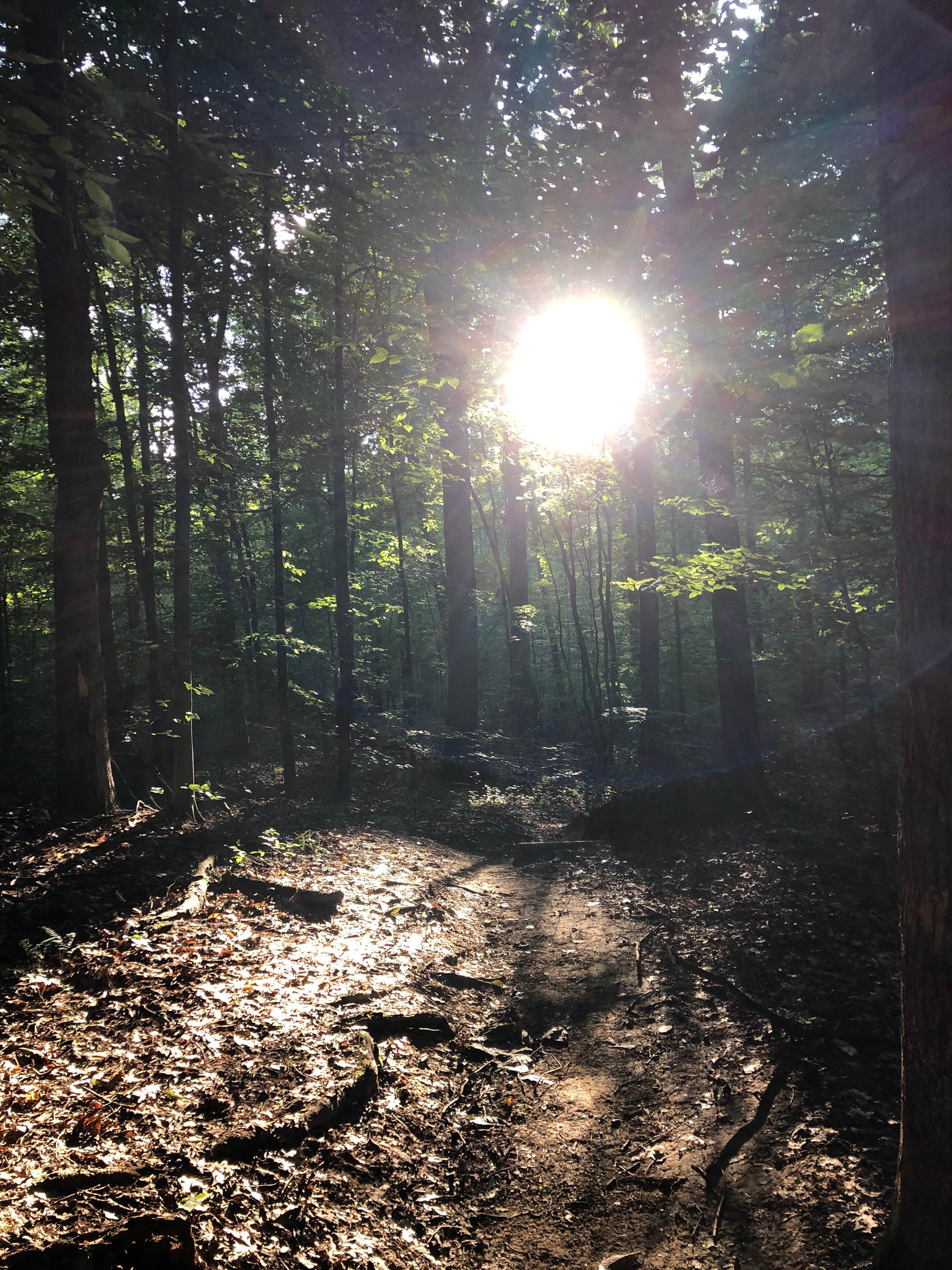 Camper-submitted photo at Peninsula Trail near Harrodsburg, IN