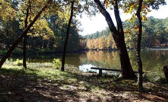 Camping near Red River Valley RV Park: Stuart Lake NF Campground, Bentley, Louisiana