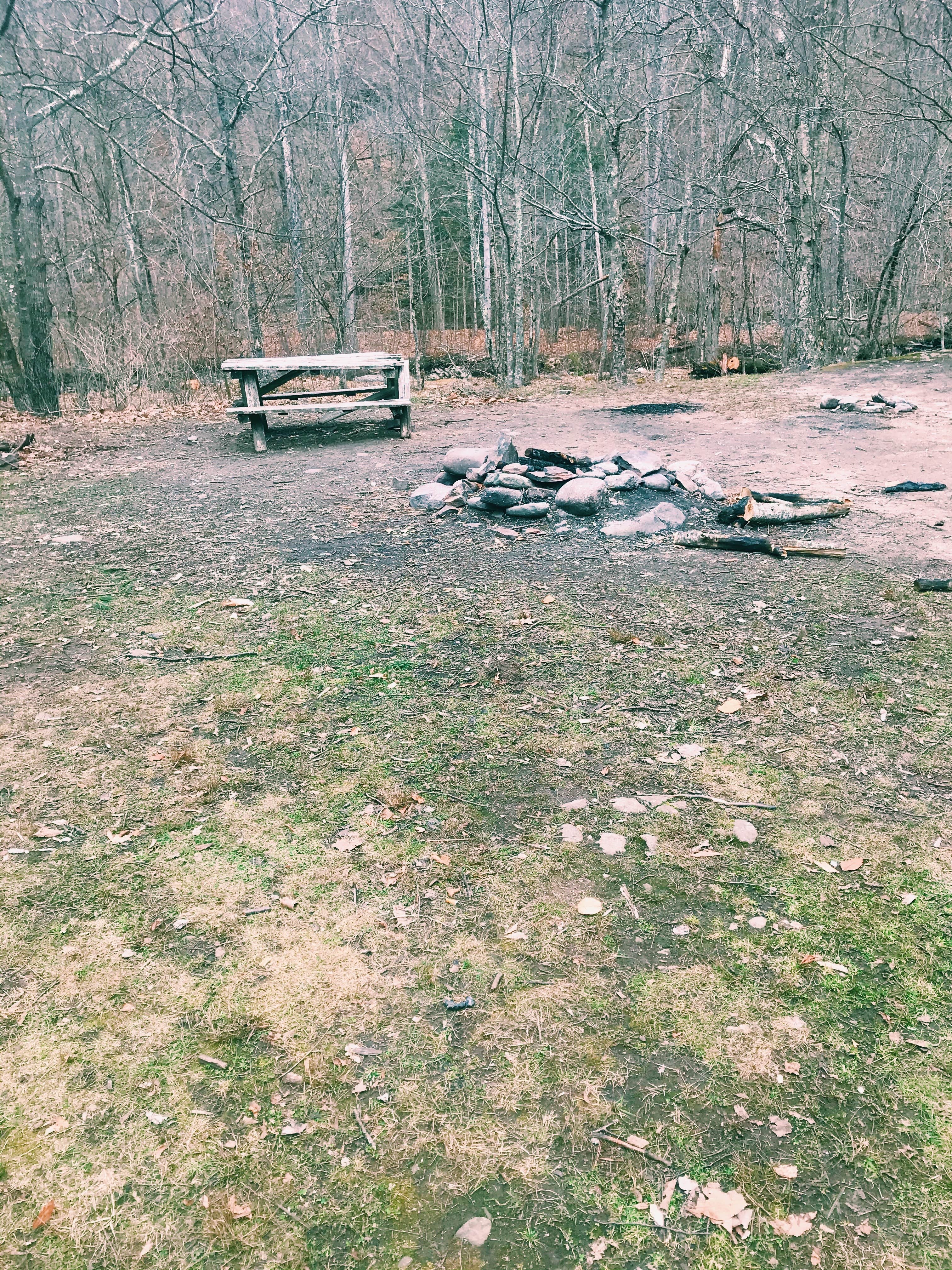 Camper submitted image from The Peekamoose Valley - 4